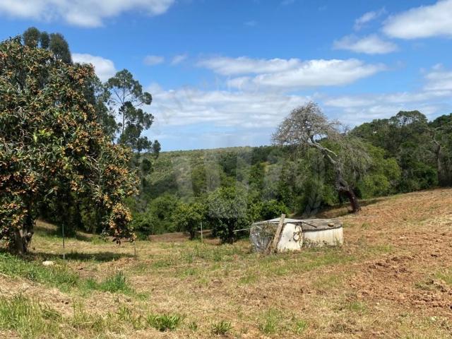 Casa de 232 m² à venda Odemira, Portugal