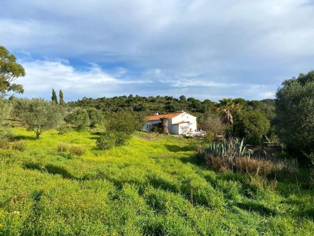 Casa de prestígio de 260 m² à venda Grândola, Setúbal