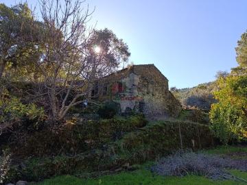 Casa de Xisto no Vale da Ursa