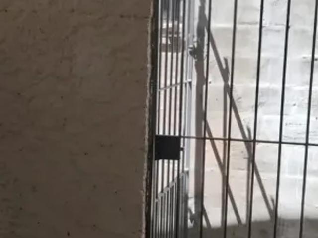 Casa de 02 dorms. Sem vaga para alugar no Recreio São Jorge em Guarulhos