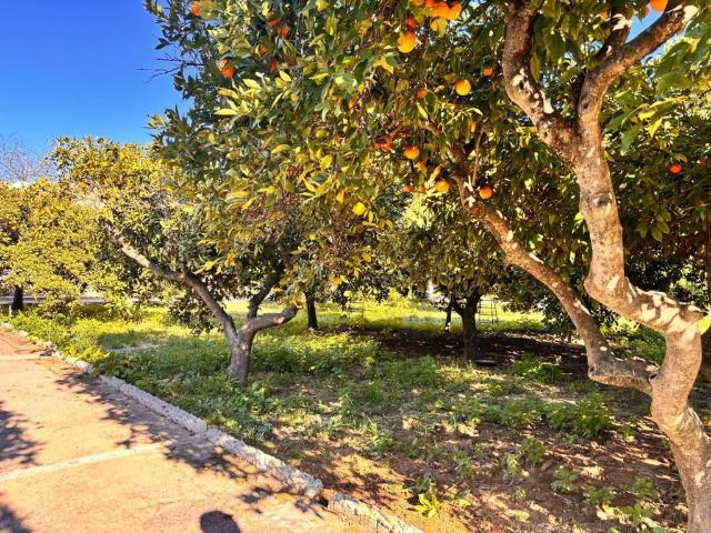 Casa de 296 m2 en venta Jerez de la Frontera, Andalucía