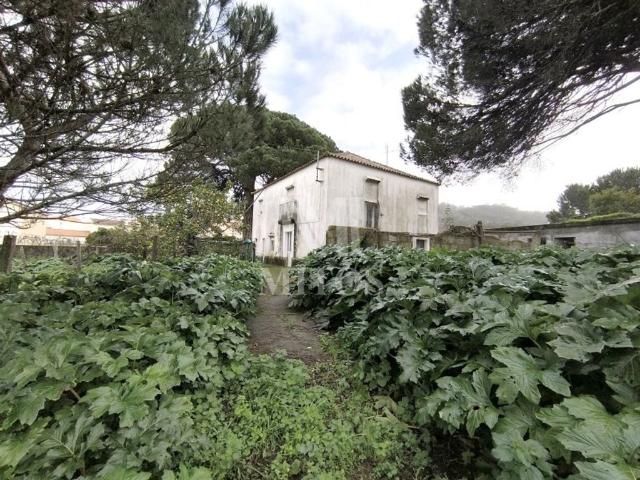 Casa de 207 m² à venda Viana do Castelo, Portugal