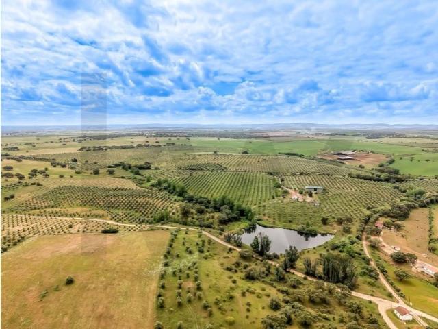 Casa de 212 m² à venda Fronteira, Portugal