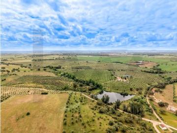 Casa de 212 m² à venda Fronteira, Portugal