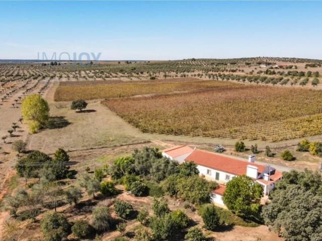 Casa de 233 m² à venda Avis, Portalegre