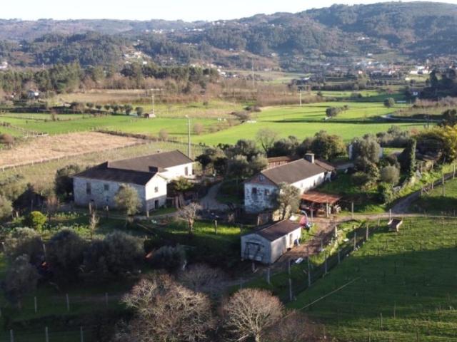 Casa de luxo de 363 m² à venda Ponte de Lima, Portugal