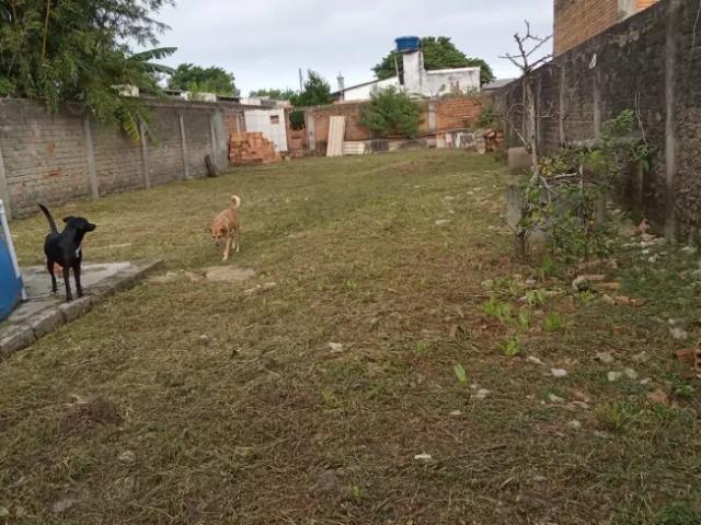 Casa de 3 dormitórios a Venda no Bairro Ponta Grossa Porto Alegre