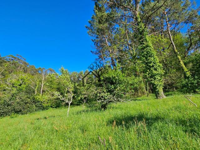 CASA DE 3 HABITACIONES CON FINCA, EN SAN JORGE, FERROL