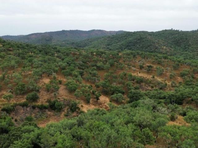 Casa de 500 m² à venda Grândola, Setúbal