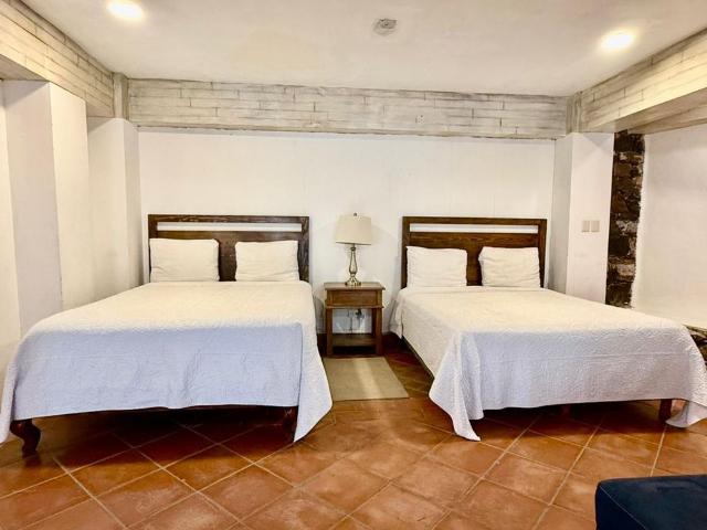 Casa del pirul|Prime Centro Location