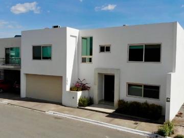 Casa del Roble | Residencia ejecutiva en renta en Fraccionamiento Albatros