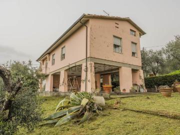 Antraccoli, Lucca Toscana, Toscana - Giardino