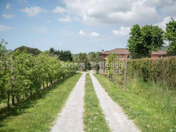 Via Di Sant'Alessio Lucca, Lucca, Lucca Toscana, Toscana