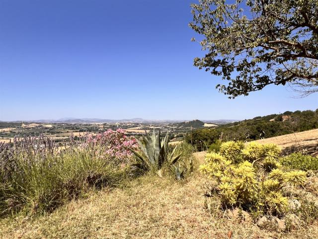 Casa di campagna panoramica con 3 ettari di terreno 320m² Gradara