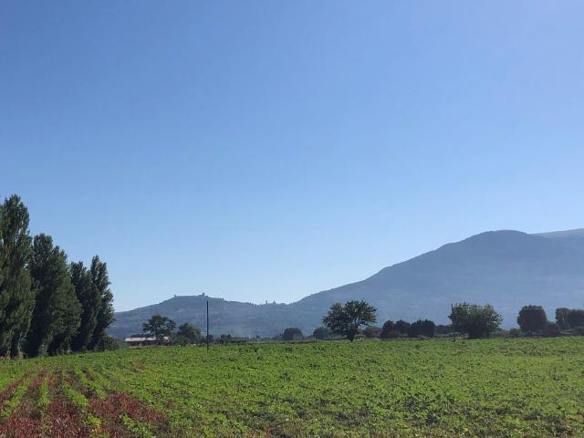 Casa di campagna tipica con vista su Assisi 599m² Assisi
