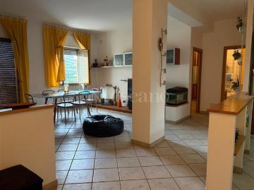Via Amaseno, Latina, Latina Lazio - Balcone