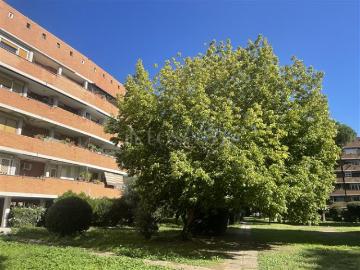 Casa in vendita a Via dell'Unione Guidonia Montecelio