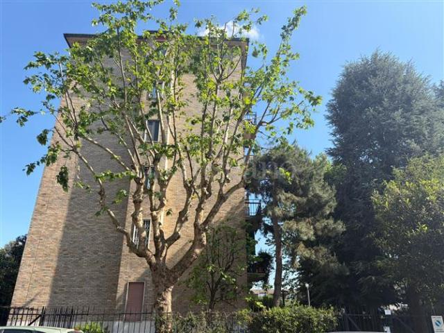 Casa di 300 mq a San Siro, Trenno Milano