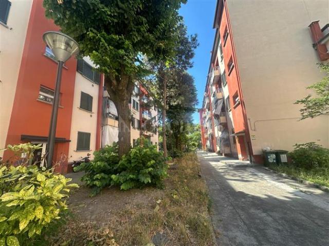 Casa di 50 mq a San Siro, Trenno Milano
