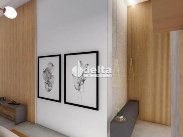 Casa disponível para venda no bairro Vigilato Pereira em Uberlândia MG