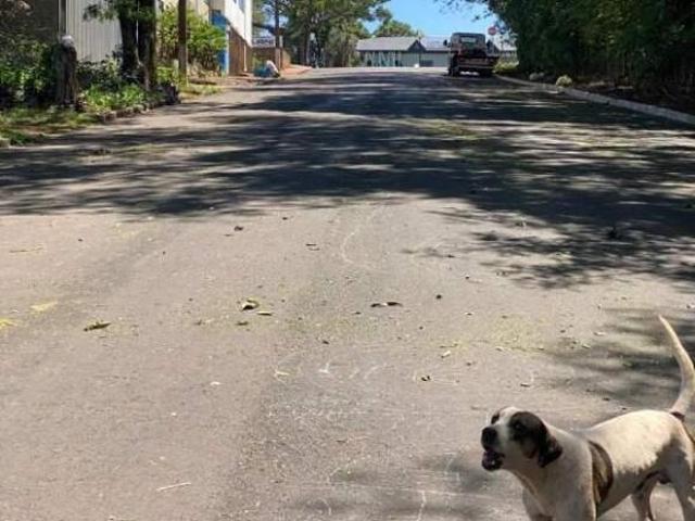 Casa Exclusiva à Venda em Jardim Guaira, Marechal Cândido Rondon – 2 Quartos, 60m²