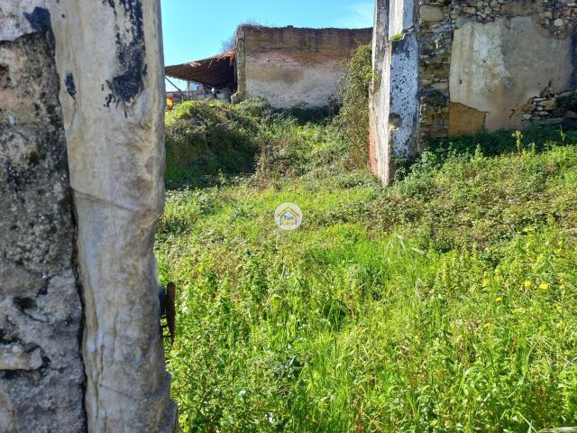 Casa em Ruínas