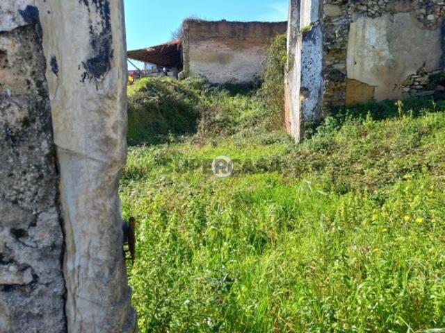 Casa em Ruínas