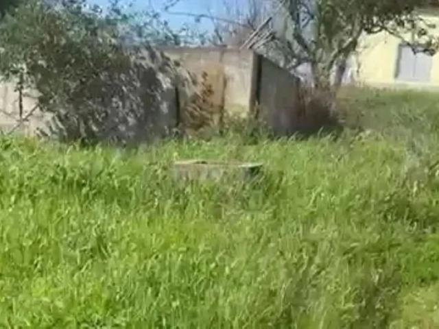 Terreno para Reconstrução, com Água, Natureza e bons acessos, em Cravais de Cima, Salir, Loulé, Algarve