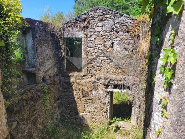 Casa em Ruínas Refúgio Único em Plena Natureza