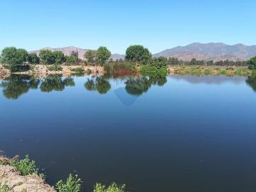 Bollenar, Melipilla, Provincia de Melipilla, Región Metropolitana de Santiago