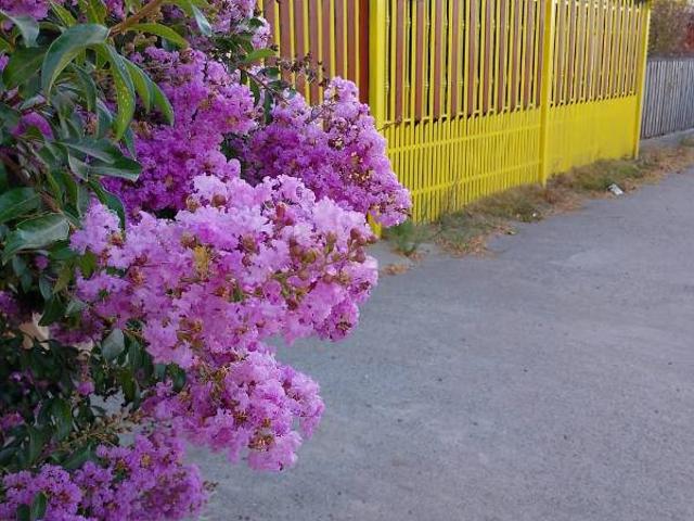 CASA EN MOLINA