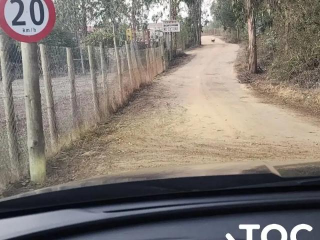 Casa en Algarrobo