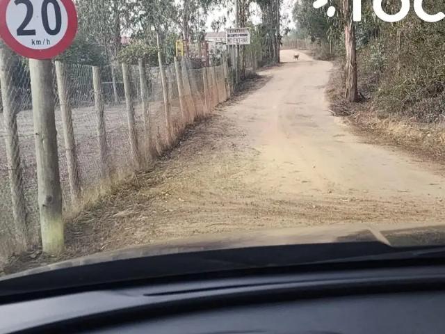 Casa en Algarrobo