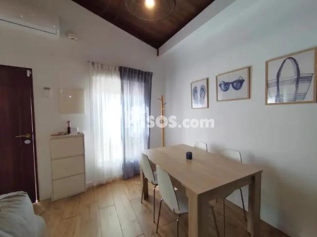 Casa en alquiler en Calle Río Duero, 1