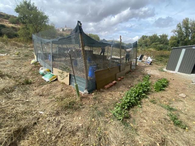 Casa en alquiler en camino abajo del molino