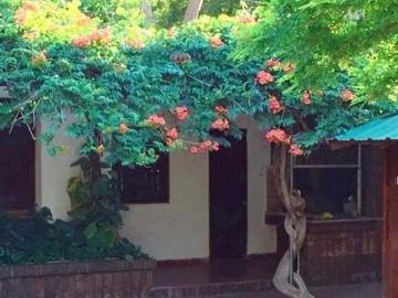 Casa en alquiler en Funes