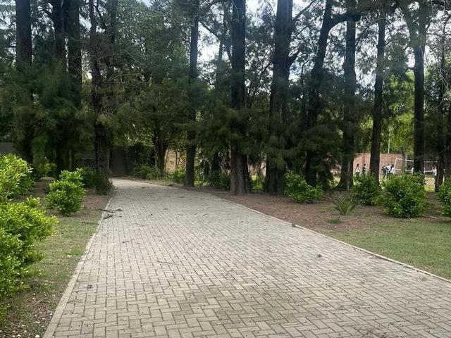 Casa en alquiler en La Reja