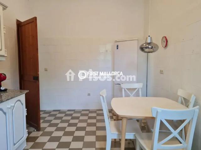 Casa en alquiler en Palmanova Son Caliu