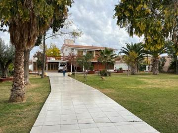 Casa en Alquiler San Martin Mendoza