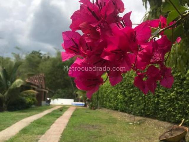Casa en Arriendo, Masata, Villeta