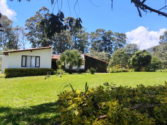 Casa en arriendo, Otros