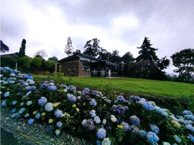 Casa en arriendo, Alto palmas