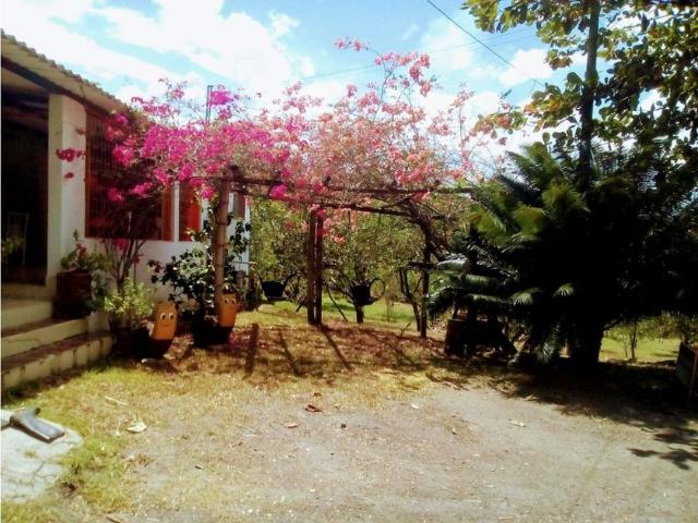 Casa en arriendo Calle 17, Viotá, Tequendama, Cundinamarca, Rap especial Central, Colombia