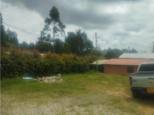 Casa en arriendo, Centro
