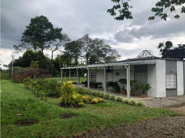 Casa en Arriendo, Circasia, Circasia