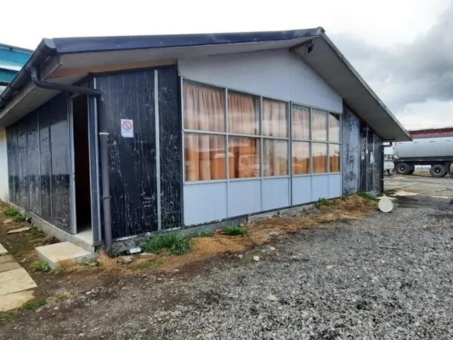 Casa En Arriendo De 2 Dorm. En Purranque