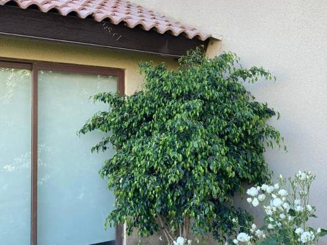 Casa En Arriendo Dentro De Condominio Altos De San Esteban