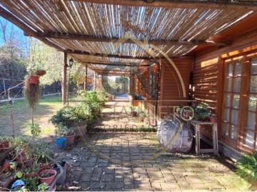 Casa en Arriendo en Olivar 3 dormitorios 2 baños