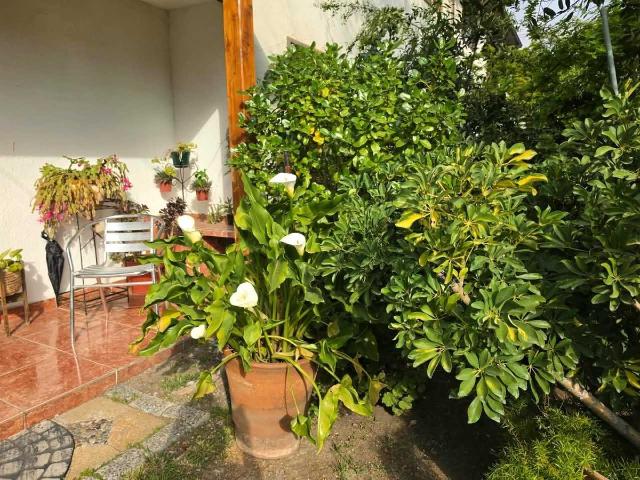 Casa en arriendo en casa con piscina 183238, las condes