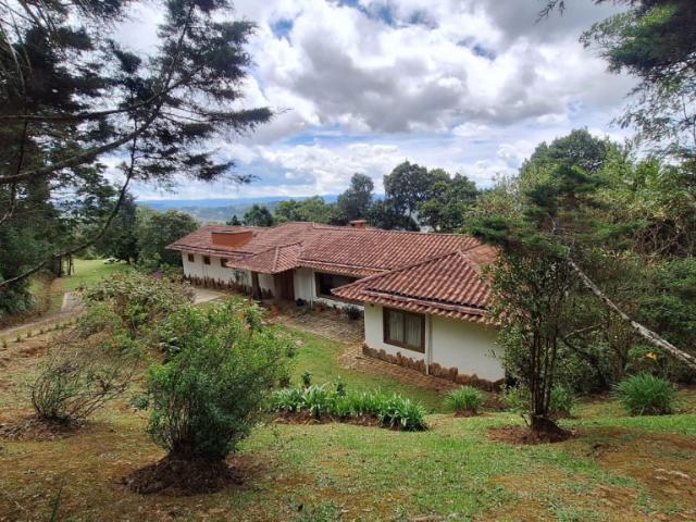 Casa En Arriendo En Envigado En Alto De Palmas A390628